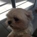 Profile Picture of Darla Ferguson (@darla.ferguson.184) on Facebook