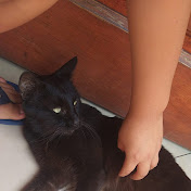 Profile Picture of Kathy Garcia (@kathygarcia6220) on Youtube