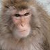 Profile Picture of Risto Peltomaa (@risto.peltomaa.35) on Facebook