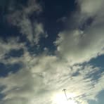 Profile Picture of Amelia Toth (@Amelia-Toth) on Facebook