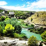 Profile Picture of Gibbons Kirk (@toughunparis) on Instagram