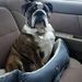 Profile Picture of Danielle Brower (@smelly15) on Pinterest