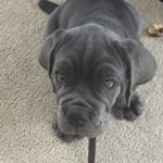 Profile Picture of Tony Wells (Tj) (@tony_wells2024) on Instagram