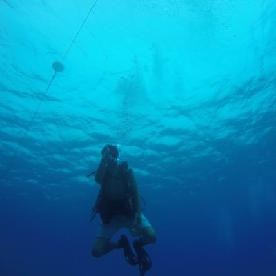 Profile Picture of Conor (@Conorgorman3) on Twitter