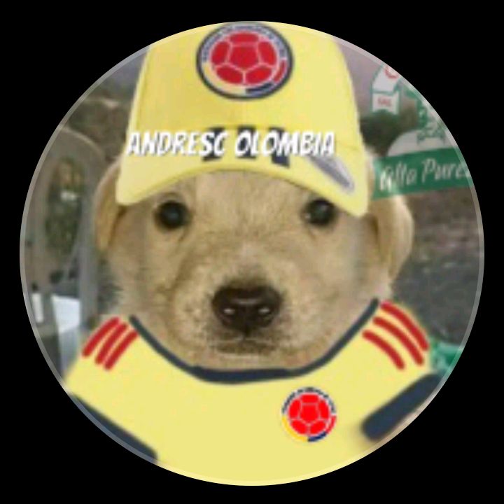 Profile Picture of James_colobia_mono5g7 (@james.colombia.sigueme) on Tiktok