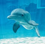 Profile Picture of Robin Cross (@robin.cross.7564) on Facebook