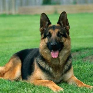 Profile Picture of John Wehbe (@John-Wehbe) on Facebook