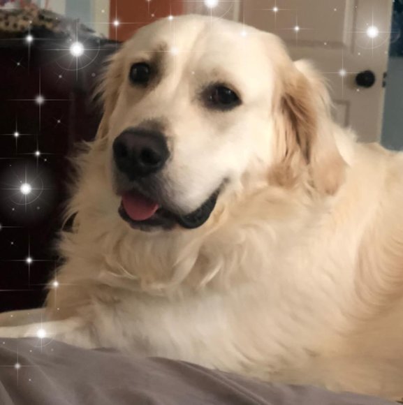 Profile Picture of Alice Bentley (@beebe63) on Poshmark