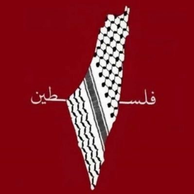 Profile Picture of amina mahdi (@aminamahdi16) on Twitter