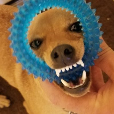 Profile Picture of John Polzer (@jpolzer22) on Twitter