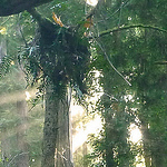 Profile Picture of Nate Smith (@auelgold) on Flickr