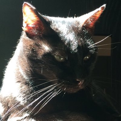 Profile Picture of Dan Marks (@DanMarksTheSpot) on Twitter