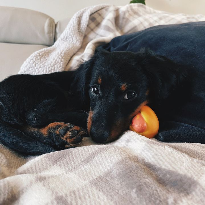 Profile Picture of MayaLunalesteckels (@mayalunalesteckels) on Tiktok