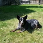 Profile Picture of Debra Furlott (@Debra-Furlott) on Facebook