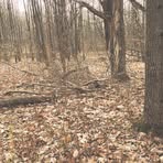 Profile Picture of Justin Will (@Justin-Will) on Facebook