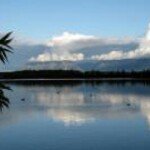 Profile Picture of Shawn Jacoby (@shawn391) on Instagram