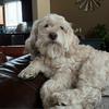 Profile Picture of JEANNIE CRONK (@jeannie.cronk) on Tiktok