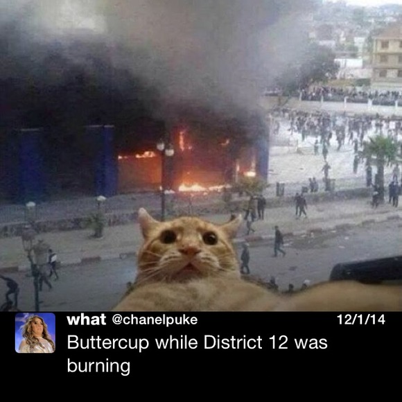 Profile Picture of Geena Ciardelli (@geenaciardelli) on Poshmark