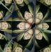 Profile Picture of Andrea Petersen (@andrea.petersen.1614460) on Facebook