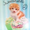 Profile Picture of Doughnutter (@@doughnutter) on Tiktok