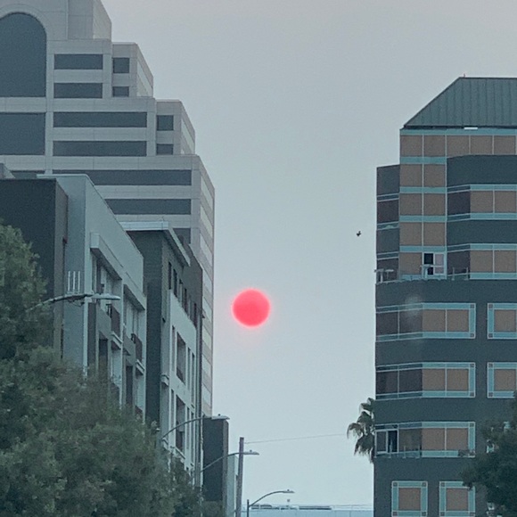 Profile Picture of Jessica Trigueros (@jessicatriguero) on Poshmark