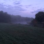 Profile Picture of Thomas Bollenbach (@thomasbollenbach) on Instagram