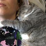 Profile Picture of Teresa Olson (@trza_n_cats) on Instagram