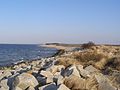 Sobieszewo Island - Wikipedia - Wikipedia Profile Picture of Sobieszewo Island - Wikipediaon Wikipedia