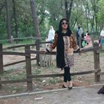 Profile Picture of Shahida Asif (@shahida2571) on Instagram