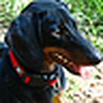 Profile Picture of Brian Parsons (@Briman4031) on Flickr