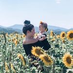 Profile Picture of Casey Lambert (@casey_wellness) on Instagram