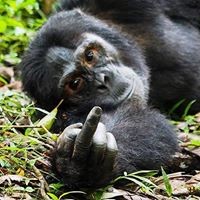 Profile Picture of Andrew Waite (@andrew-waite-12) on Quora