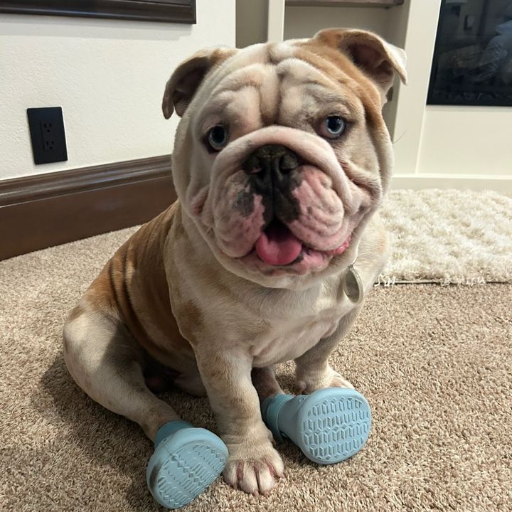 Profile Picture of Stuart Winston (@stuart.winston7) on Tiktok