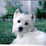 Profile Picture of Larry Jaggers (@jaggerslarry) on Instagram