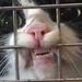 Profile Picture of Morgan Josephson (@morgan3872) on Pinterest