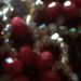 Profile Picture of Grace Awopetu (@awopetugrace) on Pinterest