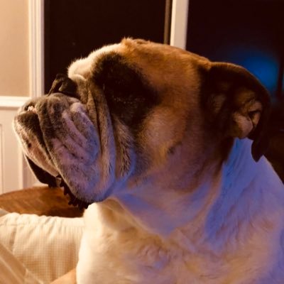 Profile Picture of Matt Hinch (@mhinchia) on Twitter
