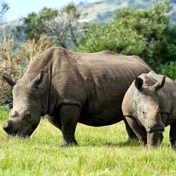 Profile Picture of David De Beer (@TyrTraining) on Twitter