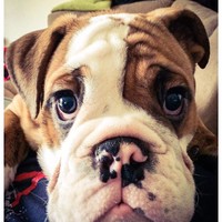 Profile Picture of Dylan Nevins (@dylan-nevins) on Quora