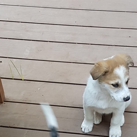 Profile Picture of Ann Fields (@afields0822) on Poshmark