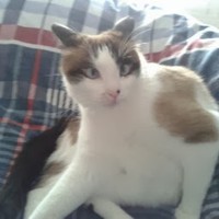 Stuart Rickards - Quora Profile Picture of Stuart Rickards (@stuart-rickards) on Quora