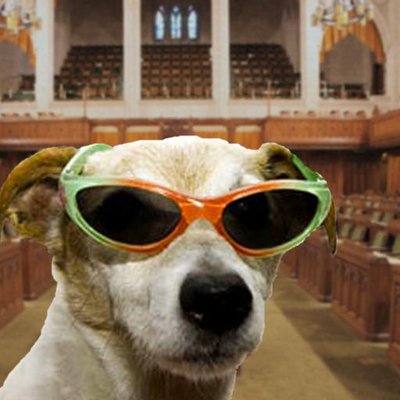 Profile Picture of Parliament Howl (@ParlHowl) on Twitter