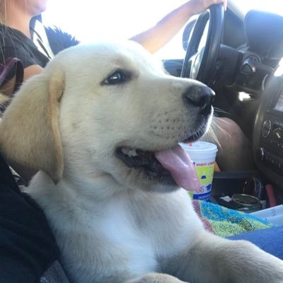 Profile Picture of Kelsey Kirby (@KelseyRaeKirby) on Twitter