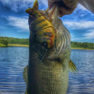 Profile Picture of Cody Petee (@cody.petee.3) on Facebook