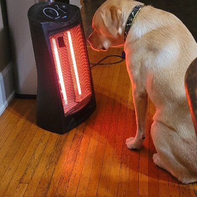 Profile Picture of Ann Glaze (@419_glaze) on Twitter