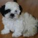 Profile Picture of Bertha Lesser (@berthal) on Pinterest