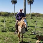 Profile Picture of Eduardo Cabrera (@Eduardo-Cabrera) on Facebook