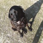 Profile Picture of elifoster (@elifoster2008) on Instagram
