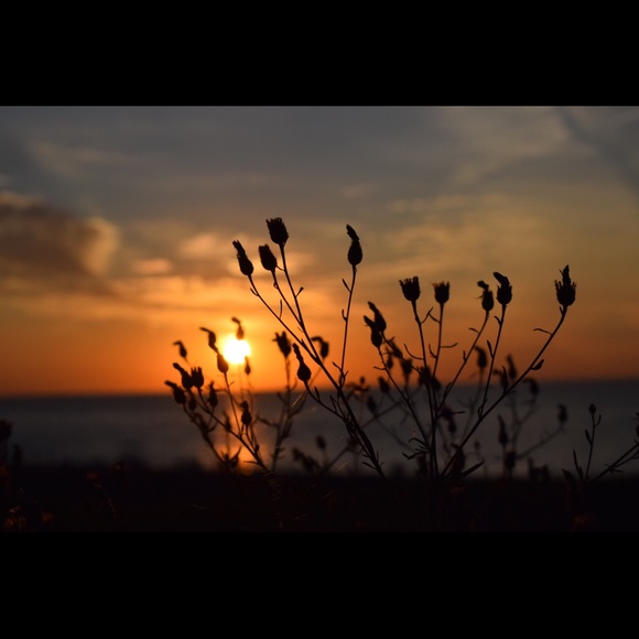 Profile Picture of Catherine Heitner (@catheitner) on Poshmark