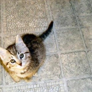 Profile Picture of The Li Mao Collective (@limaorecords) on Myspace